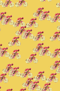 Bologna / Bicicletta