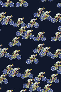 Bologna / Bicicletta