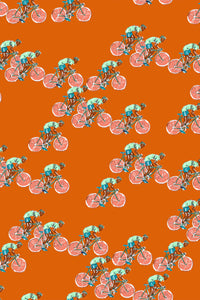 Bologna / Bicicletta