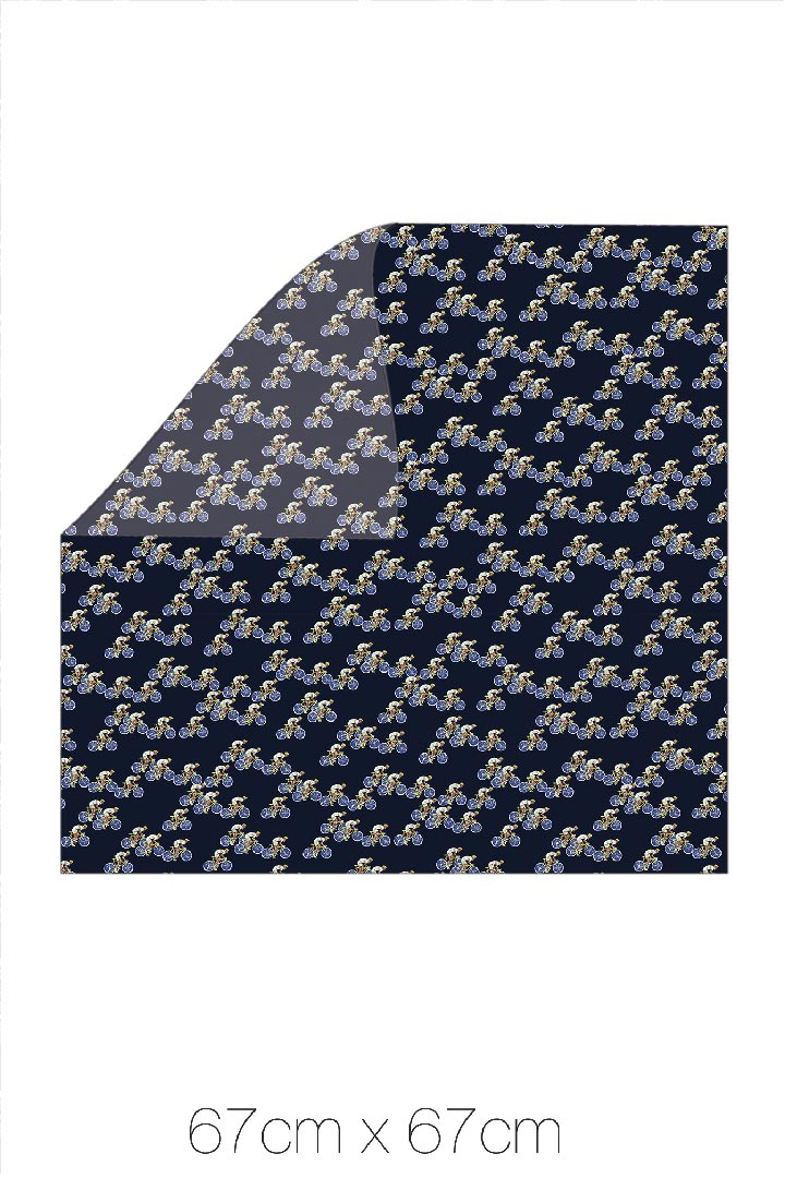 Carré Petit / Bicicletta