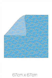 Carré Petit / Bicicletta