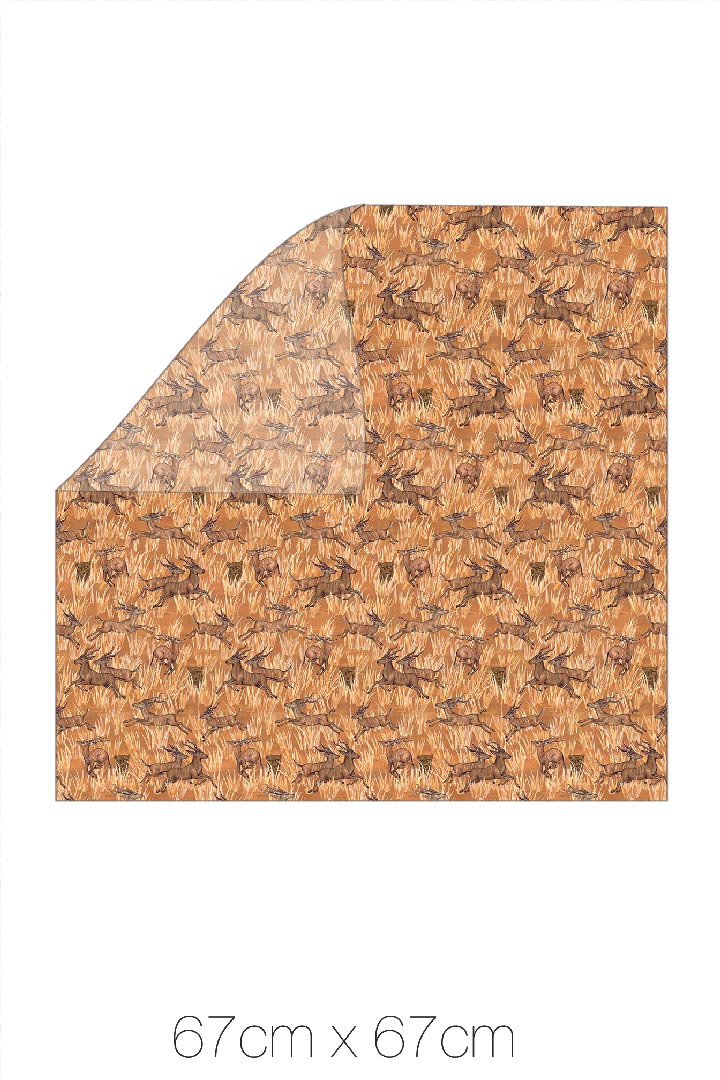 Carré Petit / Serengeti