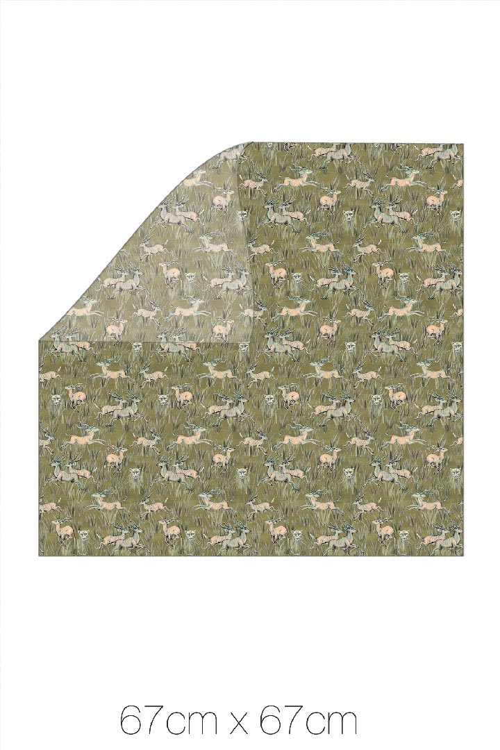 Carré Petit / Serengeti