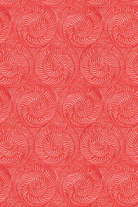 Etienne / Chiocciola