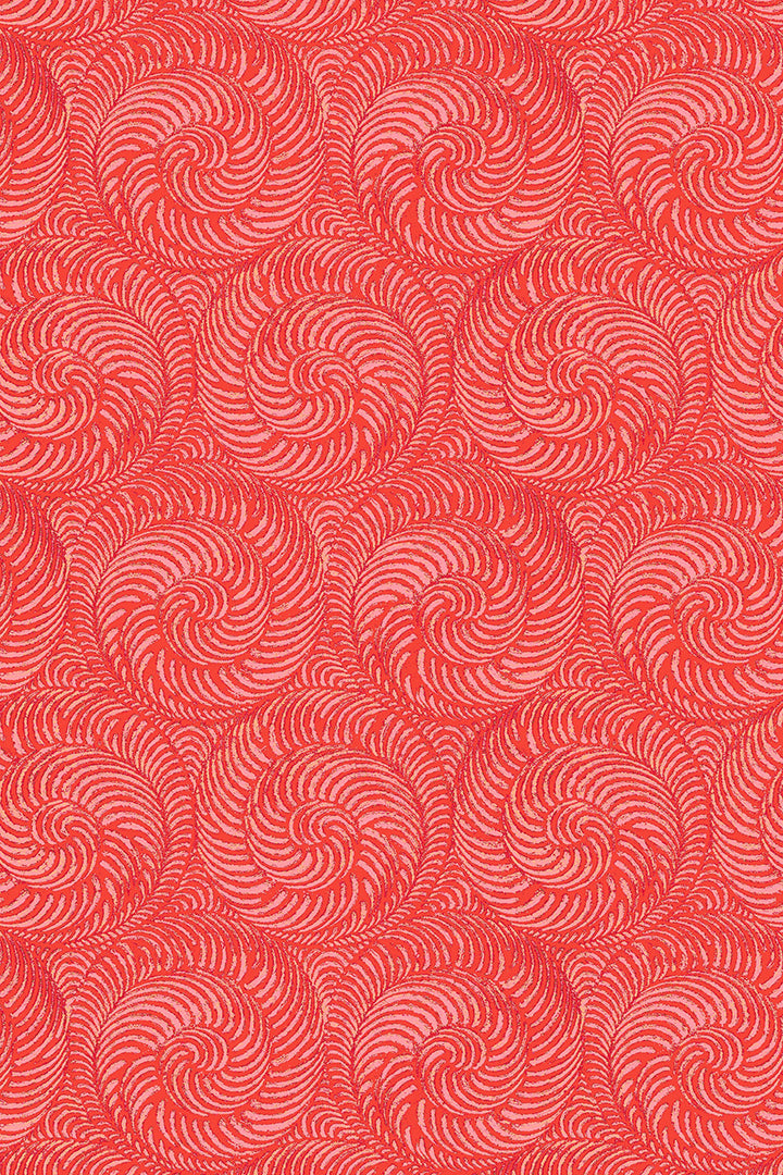 Etienne / Chiocciola