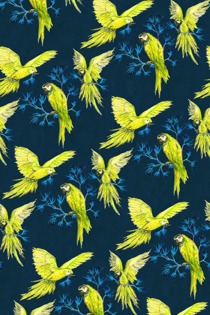 Shirt Cassis / Parrots