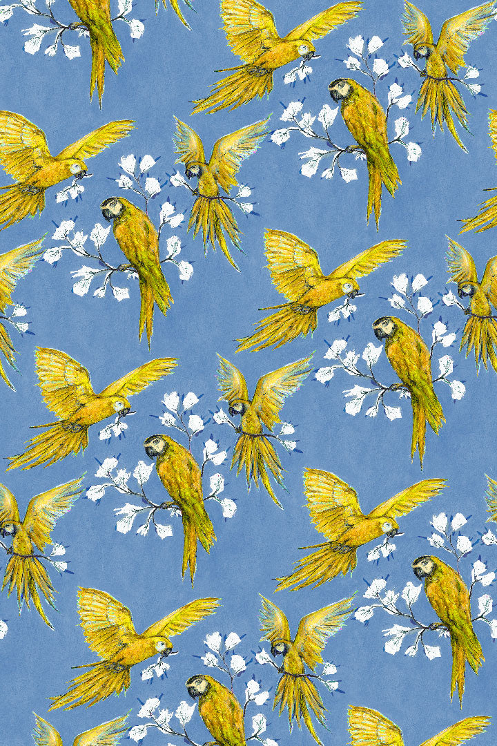 Kimono / Parrots (Preorder)