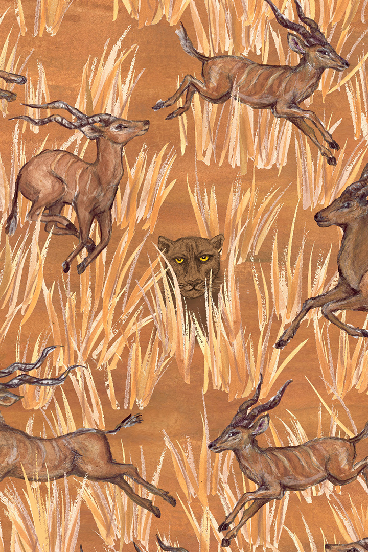 Francesca 26 / Serengeti