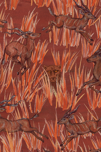 Francesca 26 / Serengeti