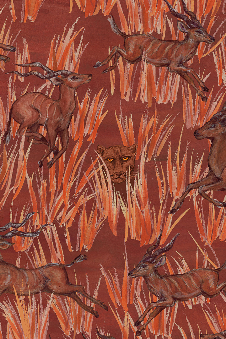 Francesca 26 / Serengeti