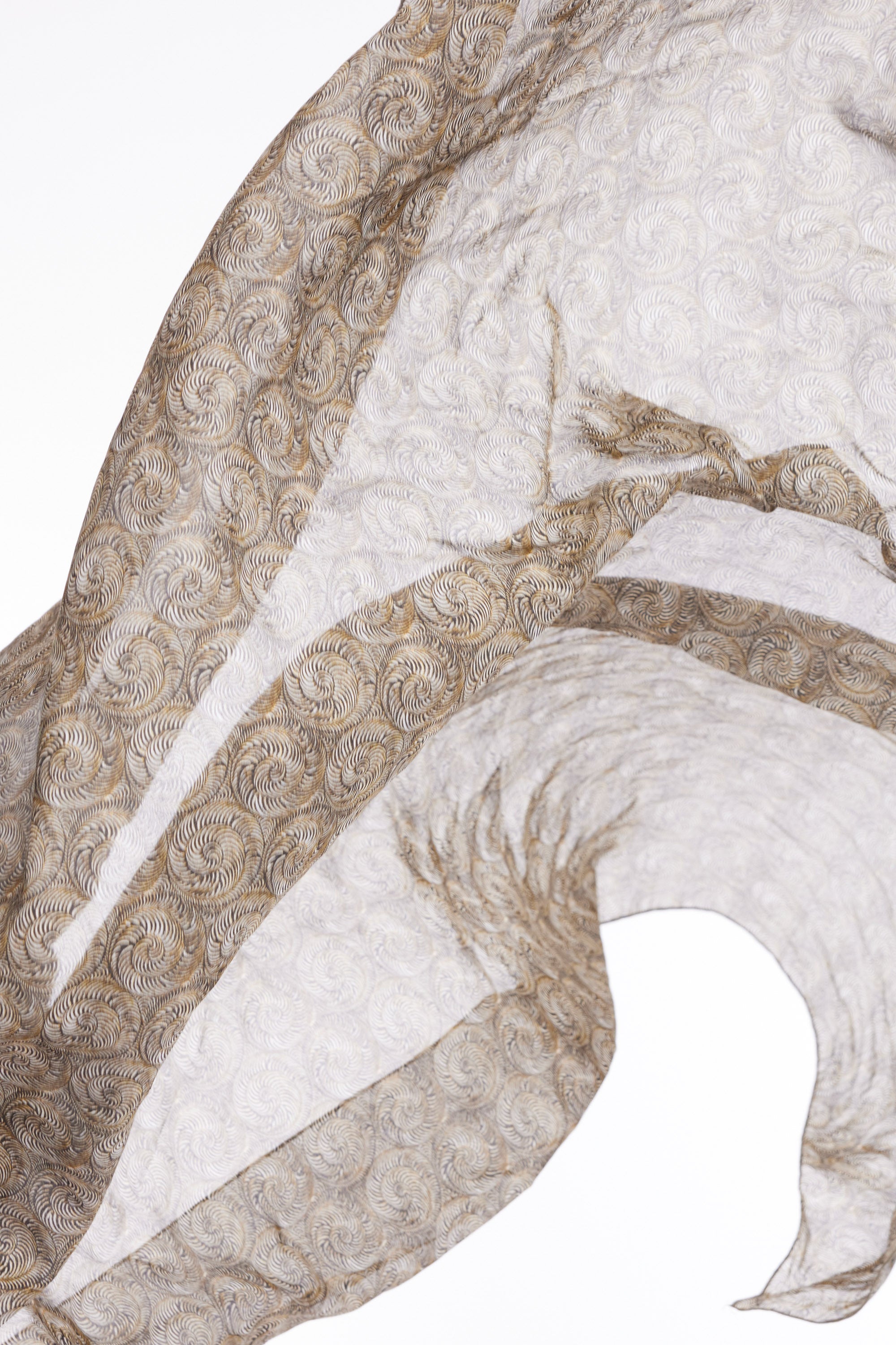 Carré PlusGrand / Chiocciola