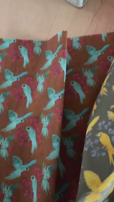 Men's Shirt Eddie / Parrots (Preorder)